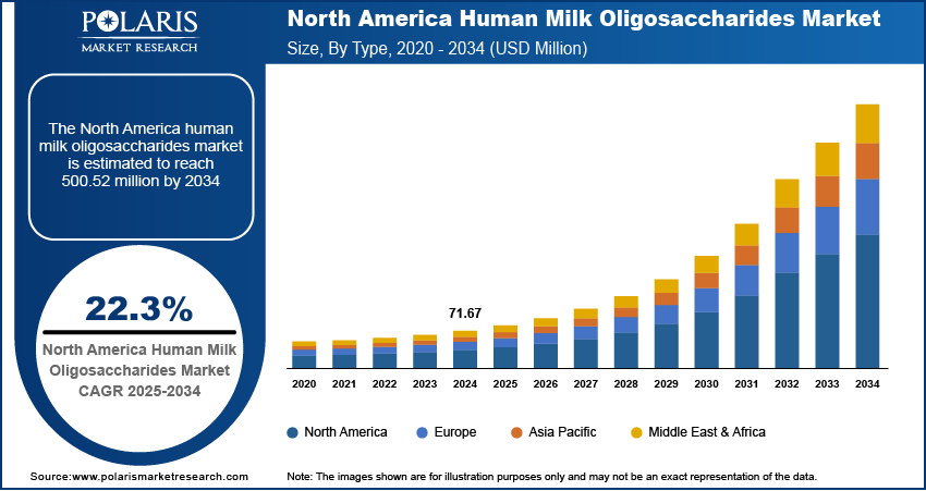 Human Milk Oligosaccharides (HMO) Market Size